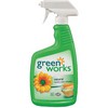 CLOROX GreenWorks Natural Laundry Stain Remover - 22 OZ.
