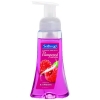 COLGATE Softsoap® Pampered Hands™ Foaming Hand Soaps - Radiant Raspberry