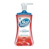 DIAL Complete® Antibacterial Foaming Hand Wash  - Cranberry