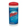 DIVERSEY Windex® Glass & Surface Wipes - 28 Wipes per Canister