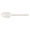 DIZPOZO enviroware™ Heavyweight Plastic Full-Size Cutlery - Soup Spoon