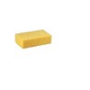 PREMIERE Beige Cellulose Sponges - 1 Sponge per Pack