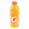 Gatorade Sports Drink, Orange - 20 OZ