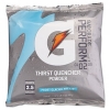 Gatorade G2 Low Calorie Powdered Drink Mix, Glacier Freeze® - 21 OZ