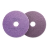 3M Scotch-Brite™ Purple Diamond Floor Pads - 16" Diameter, Purple, 5/Carton